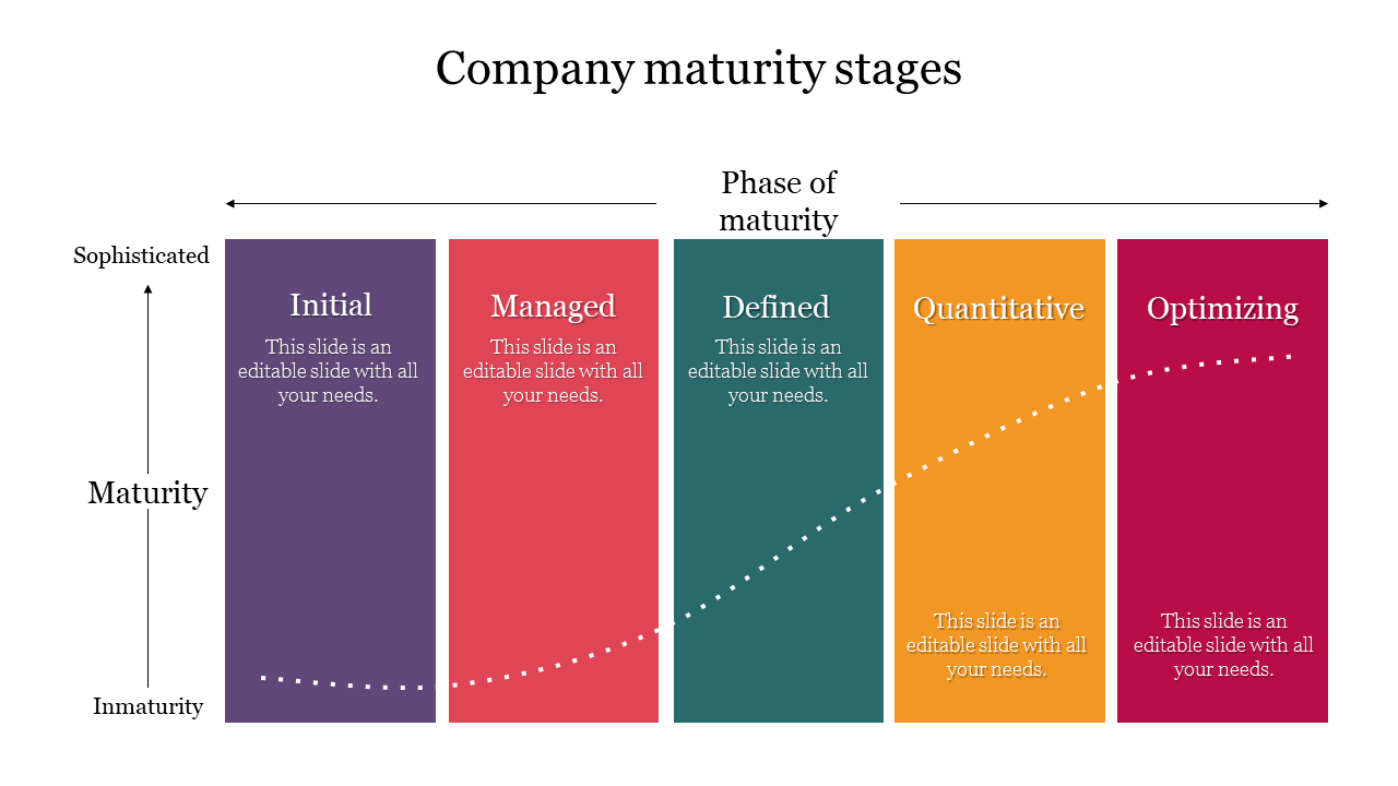 Company maturity stages